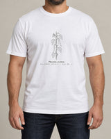 Runner Beans tee in White, worn by a model, studio photo